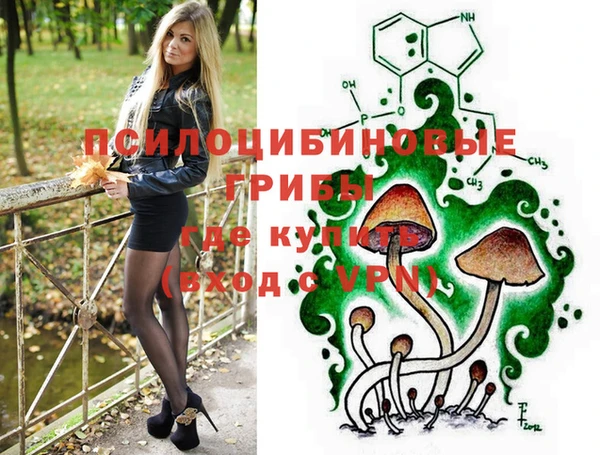 метадон Белокуриха
